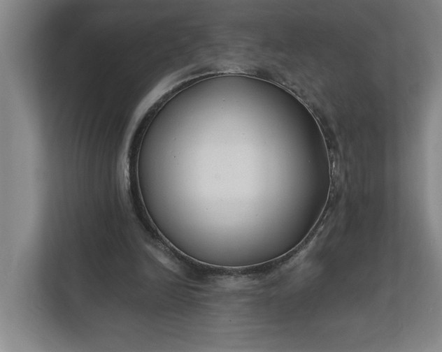 X0000112390246200908271345