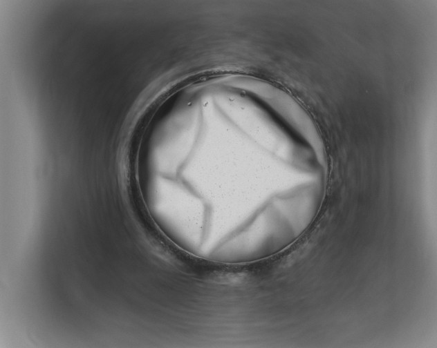 X0000112390247200908271345