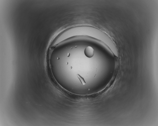 X0000112390248200908271345