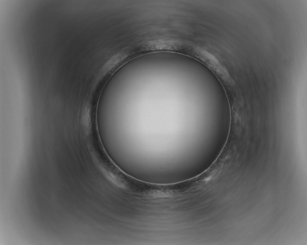 X0000112390250200908271345