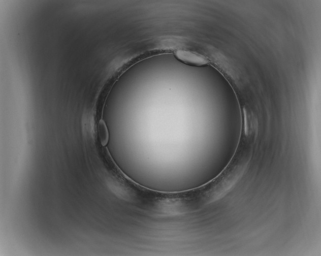 X0000112390252200908271345