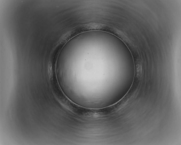 X0000112390254200908271345