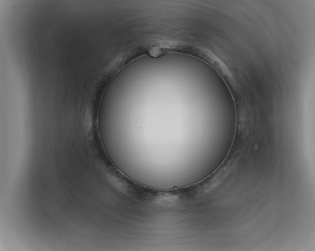 X0000112390257200908271345