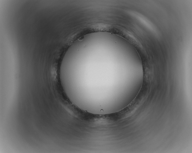 X0000112390259200908271345