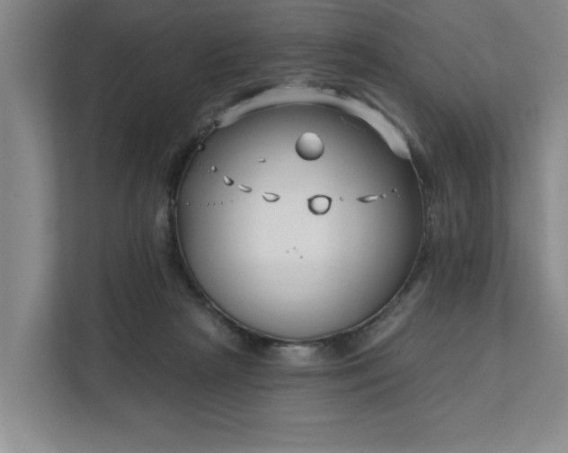 X0000112390265200908271346