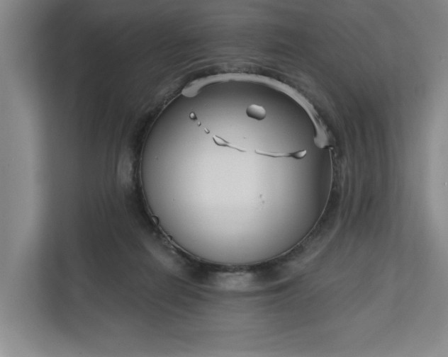 X0000112390266200908271346