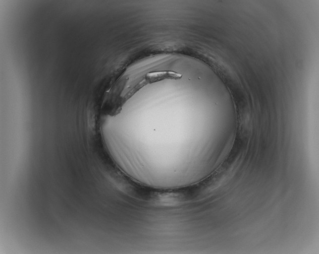 X0000112390268200908271346