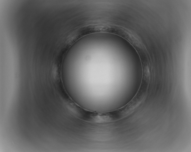 X0000112390270200908271346