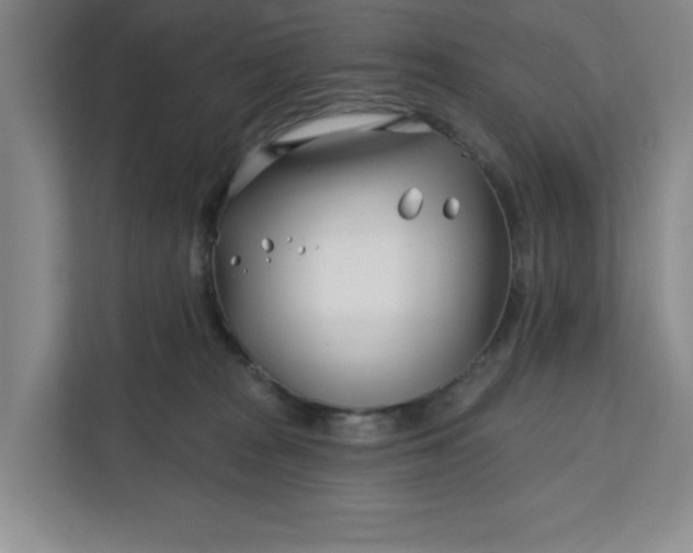 X0000112390277200908271346