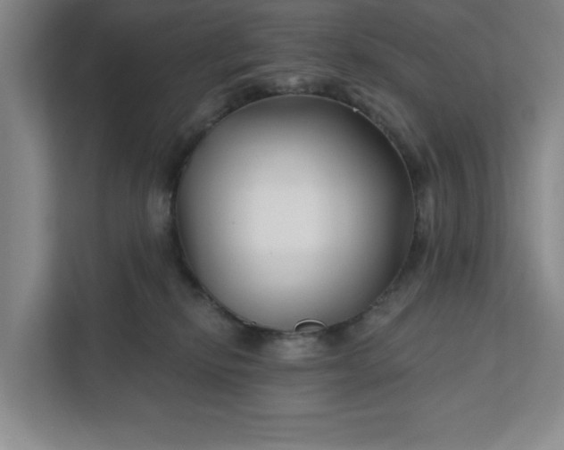 X0000112390278200908271346