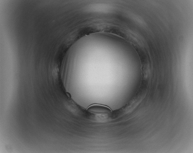 X0000112390279200908271346