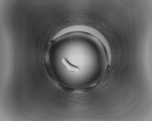 X0000112390280200908271346