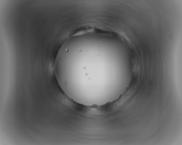 X0000112390285200908271346