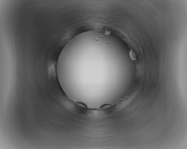 X0000112390286200908271346