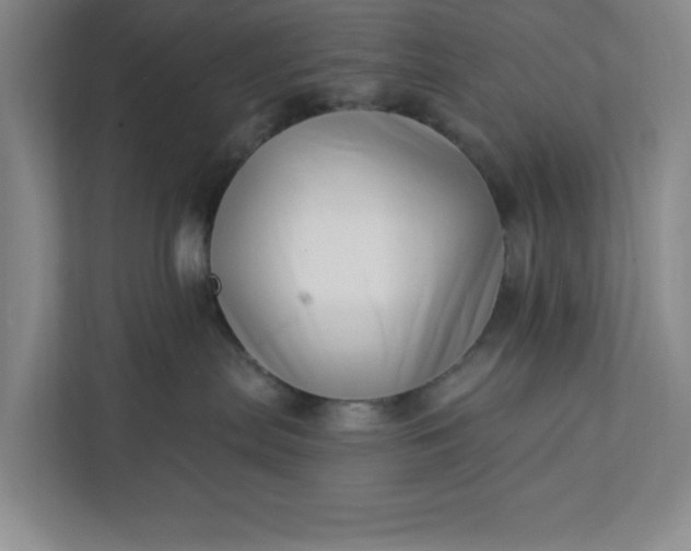 X0000112390287200908271346