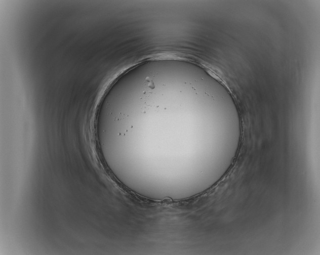 X0000112390289200908271345