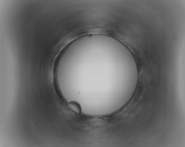 X0000112390290200908271345