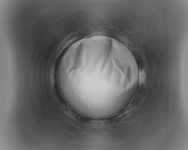 X0000112390291200908271345