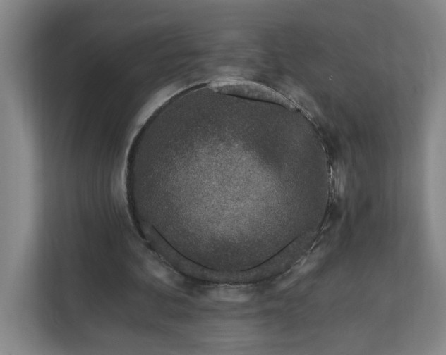 X0000112390292200908271345