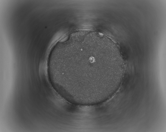 X0000112390293200908271345