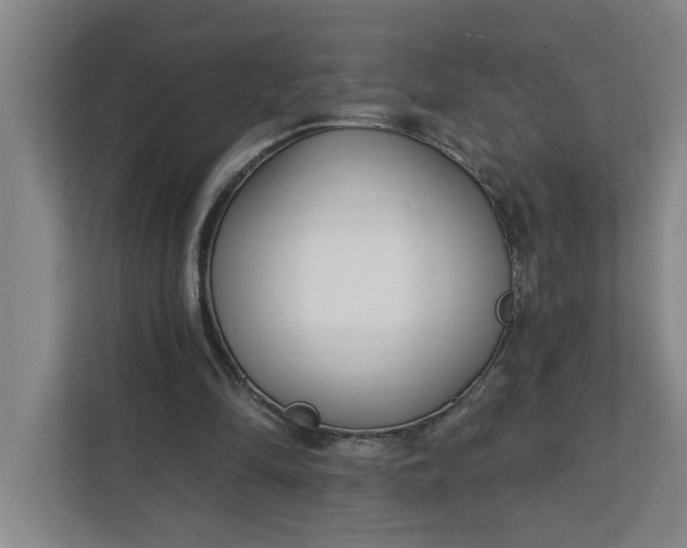 X0000112390294200908271345