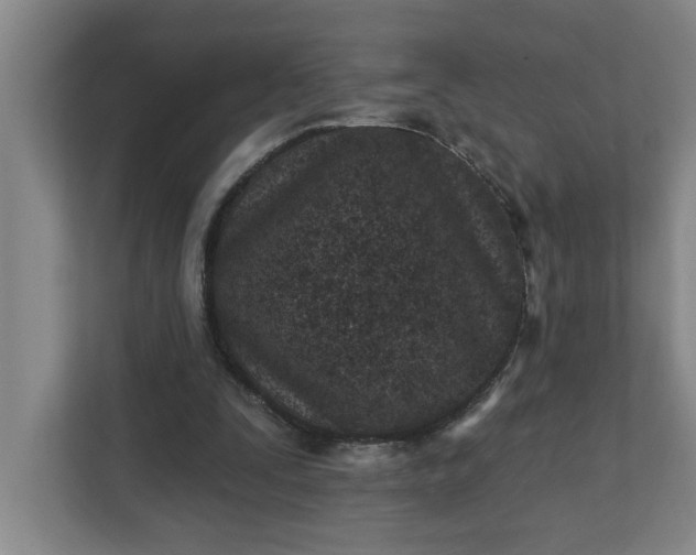 X0000112390295200908271345