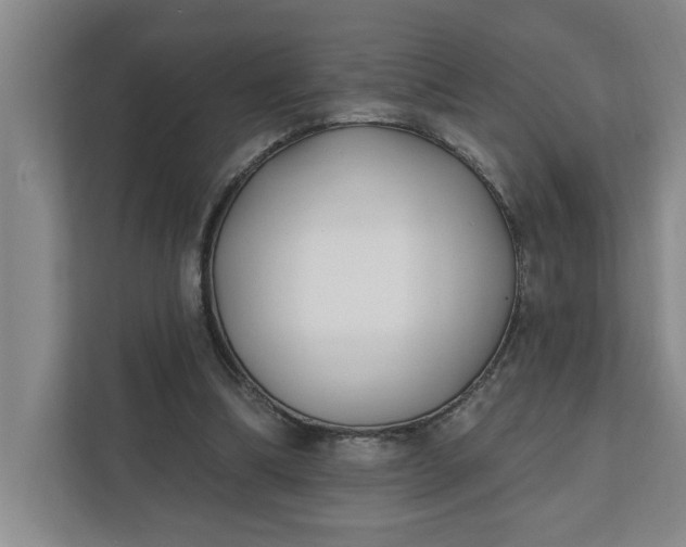 X0000112390298200908271345