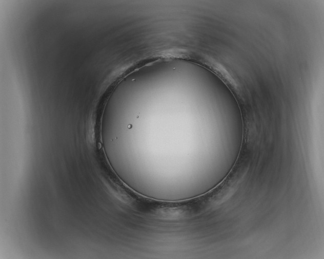 X0000112390299200908271345