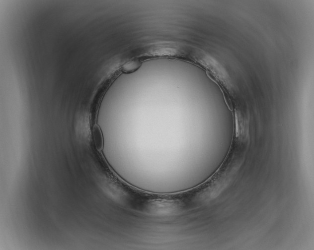 X0000112390300200908271345