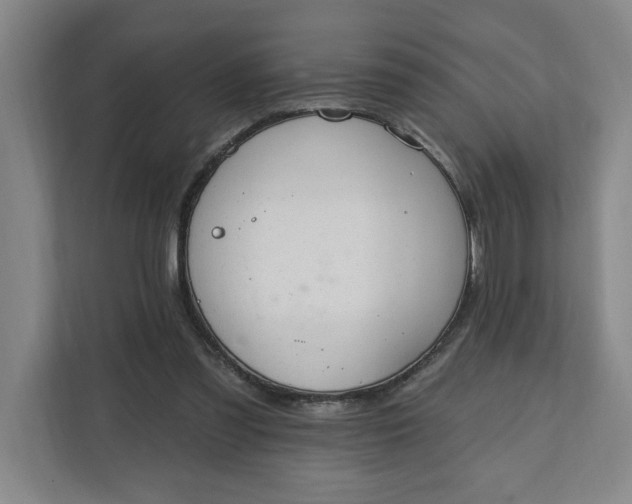 X0000112390301200908271345