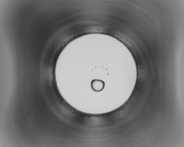 X0000112390302200908271345