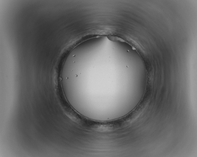 X0000112390303200908271345