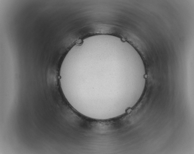 X0000112390305200908271345