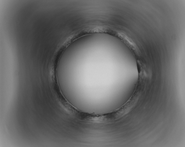 X0000112390306200908271345