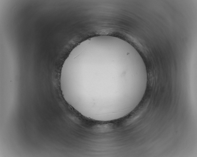 X0000112390307200908271345