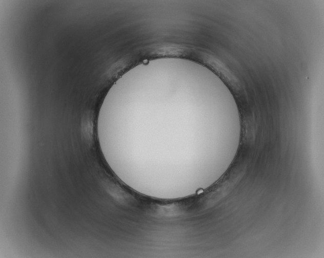 X0000112390309200908271345