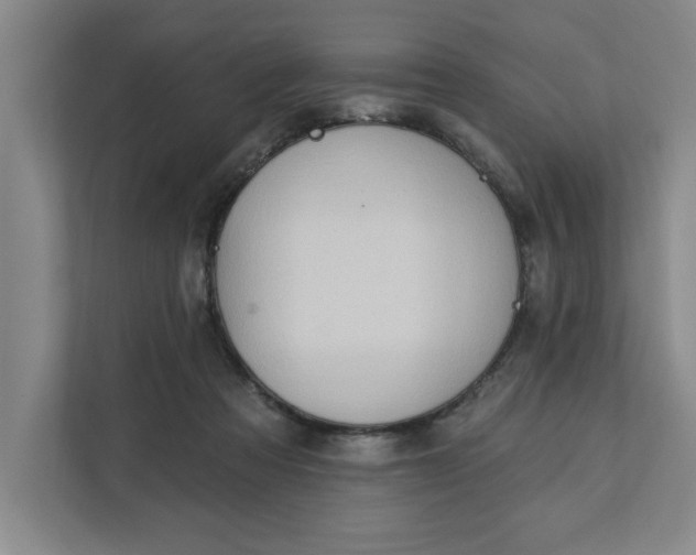 X0000112390313200908271345