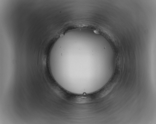 X0000112390315200908271345