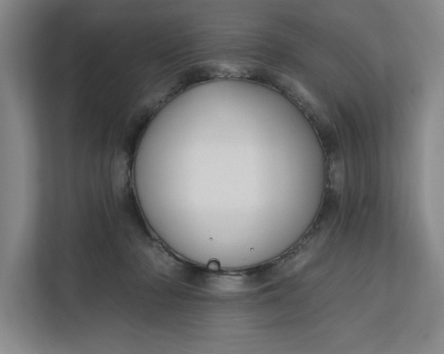 X0000112390318200908271345