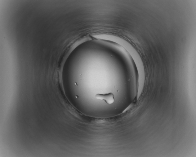 X0000112390325200908271345