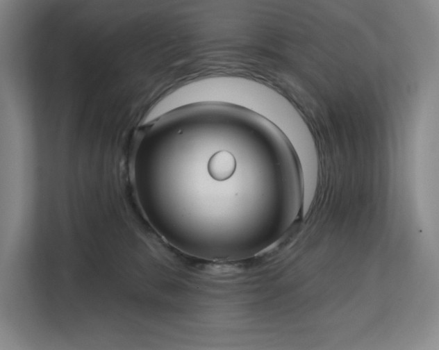 X0000112390327200908271345