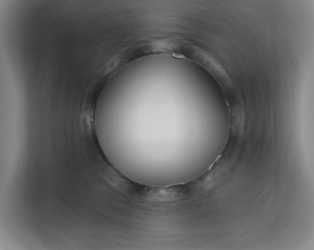 X0000112390329200908271345