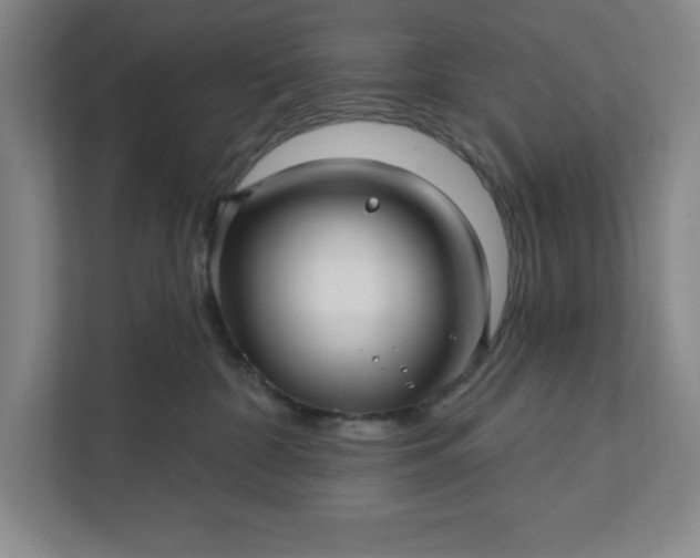 X0000112390332200908271345