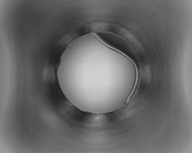 X0000112390333200908271345