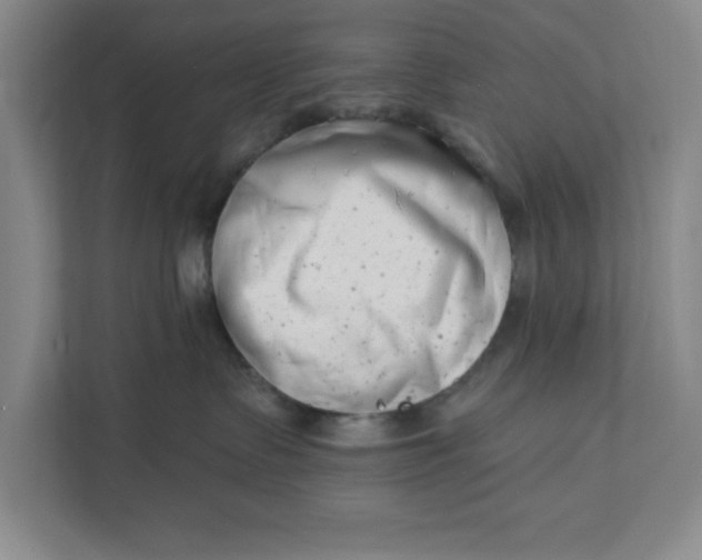 X0000112390335200908271345