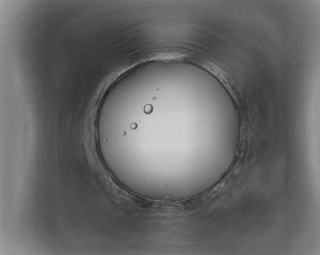 X0000112390337200908271344