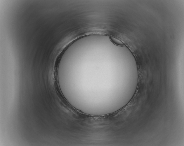 X0000112390338200908271344