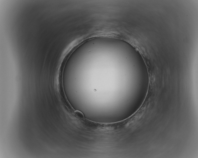 X0000112390340200908271344