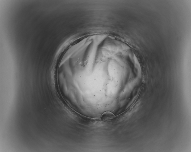 X0000112390341200908271344