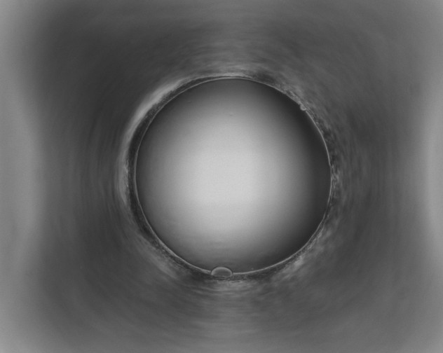 X0000112390342200908271344